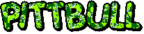 Pittbull